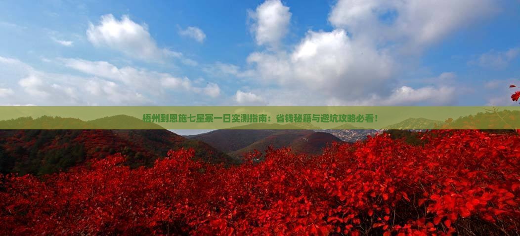 梧州到恩施七星寨一日
