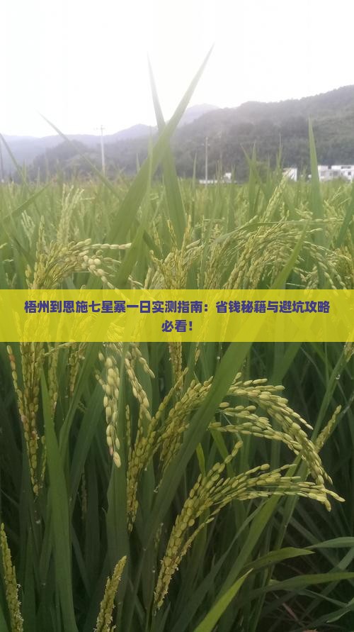 梧州到恩施七星寨一日