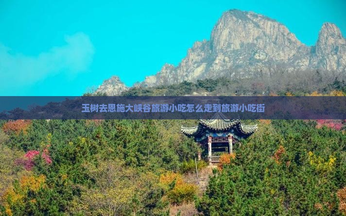 玉树去恩施大峡谷旅游小吃