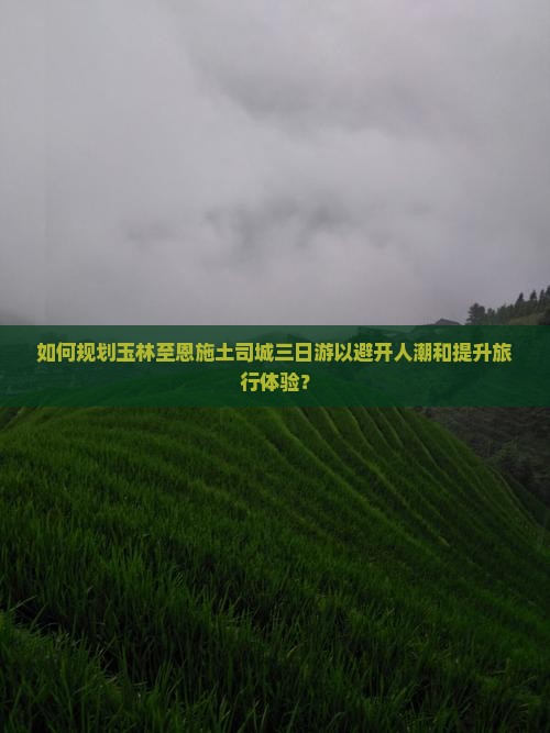 如何规划玉林至恩施土司城三日游以避开人潮和提升旅行体验？