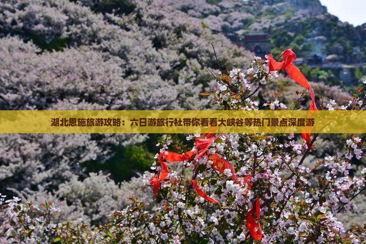 湖北恩施旅游攻略：六日游旅行社带你看看大峡谷等热门景点深度游