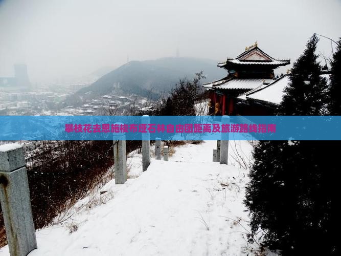 攀枝花去恩施梭布垭石林自由团距离及旅游路线指南