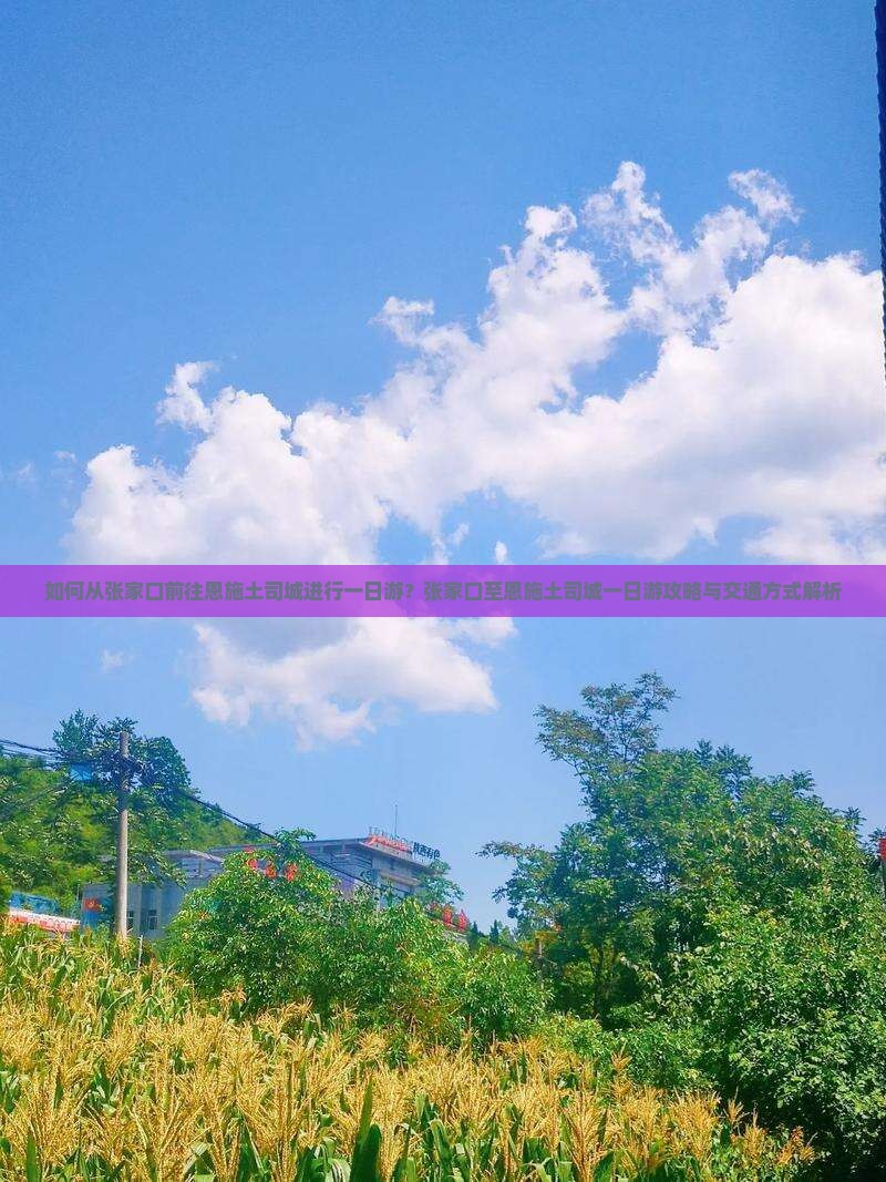 如何从张家口前往恩施土司城进行一日游？张家口至恩施土司城一日游攻略与交通方式解析