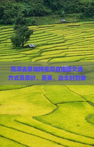 鹰潭去恩施腾龙洞自由团交通方式及票价、距离、动车时刻表与票信息