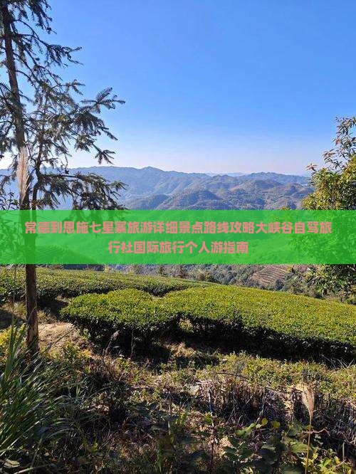常德到恩施七星寨旅游详细景点路线攻略大峡谷自驾旅行社国际旅行个人游指南