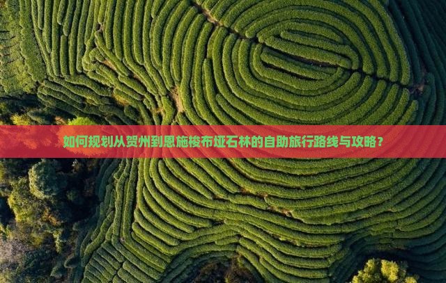 如何规划从贺州到恩施梭布垭石林的自助旅行路线与攻略？