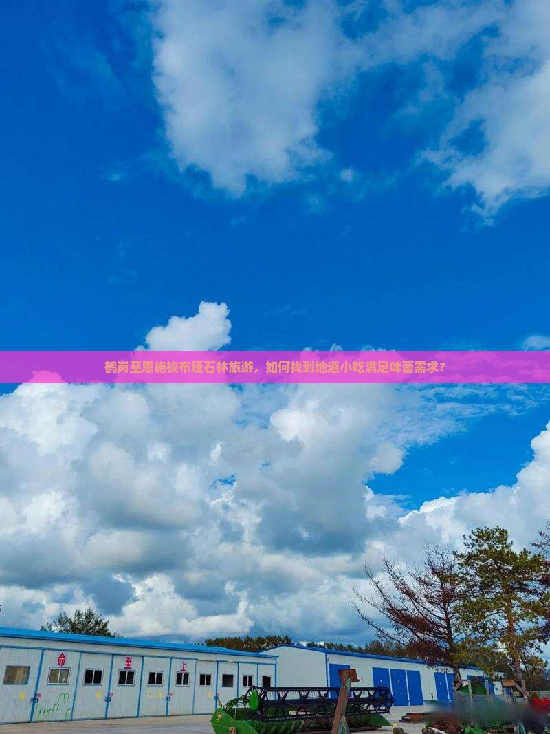 鹤岗至恩施梭布垭石林旅游，如何找到地道小吃满足味蕾需求？
