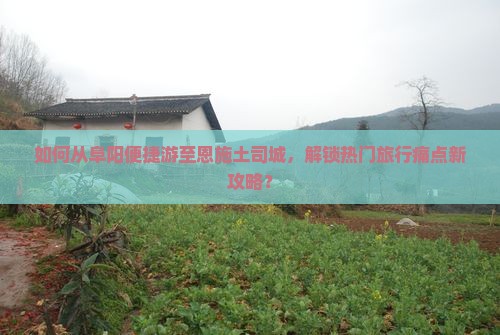 如何从阜阳便捷游至恩施土司城，解锁热门旅行痛点新攻略？