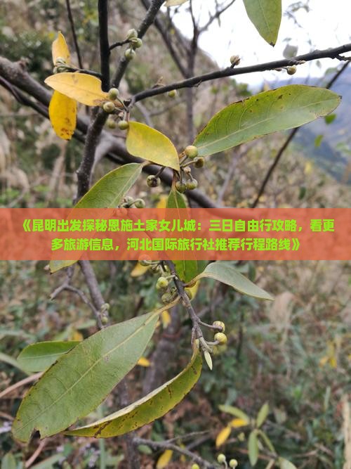 《昆明出发探秘恩施土家女儿城：三日自由行攻略，看更多旅游信息，河北国际旅行社推荐行程路线》