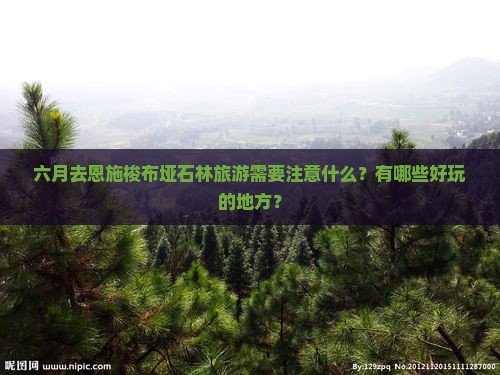 六月去恩施梭布垭石林旅游需要注意什么？有哪些好玩的地方？