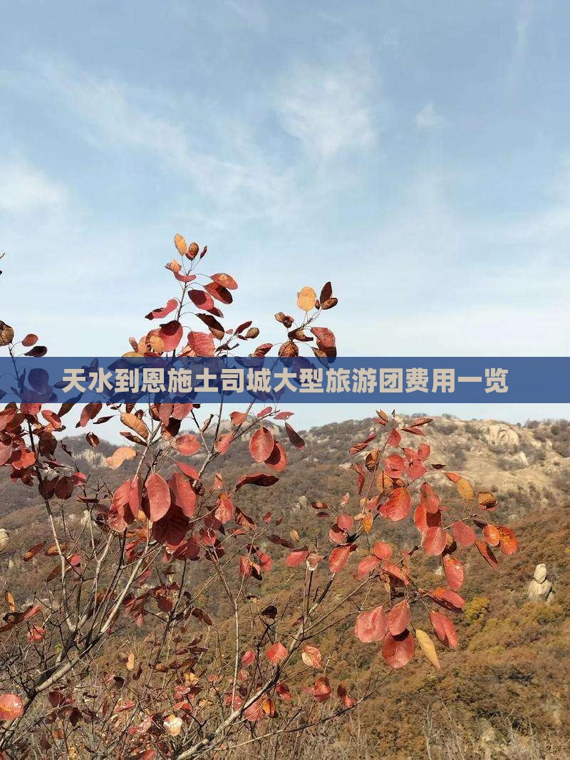 天水到恩施土司城大型旅游团费用一览