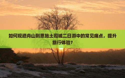 如何规避舟山到恩施土司城二日游中的常见痛点，提升旅行体验？