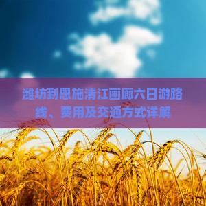 潍坊到恩施清江画廊六日游路线、费用及交通方式详解