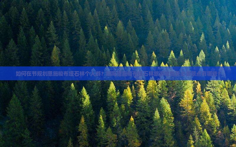 如何在节规划恩施梭布垭石林个人游？期间恩施梭布垭石林旅游攻略及必游景点有哪些？