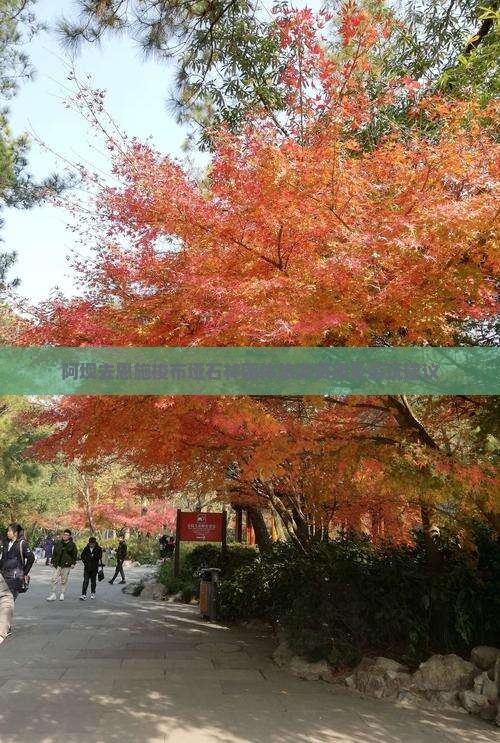 阿坝去恩施梭布垭石林团体旅游费用及游玩建议