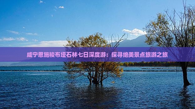 咸宁恩施梭布垭石林七日深度游：探寻绝美景点旅游之旅