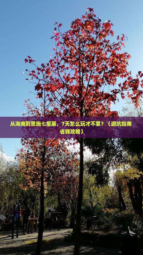海南到恩施七星寨七日游 海南到恩施七星寨七日游