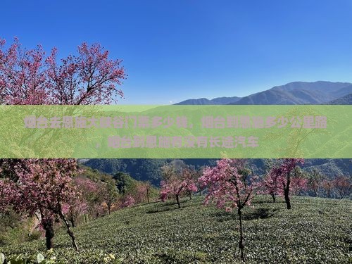 烟台去恩施大峡谷门票