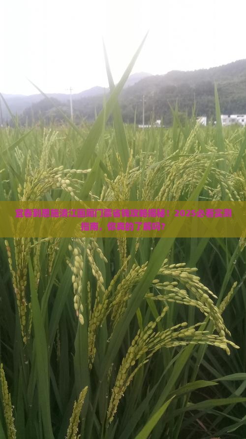 宜春到恩施清江画廊门票