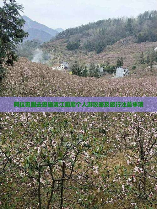 阿拉善盟去恩施清江画廊个人游