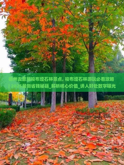 德州去恩施梭布垭石林景点