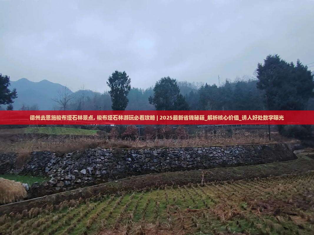 德州去恩施梭布垭石林景点