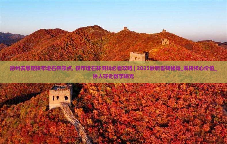德州去恩施梭布垭石林景点