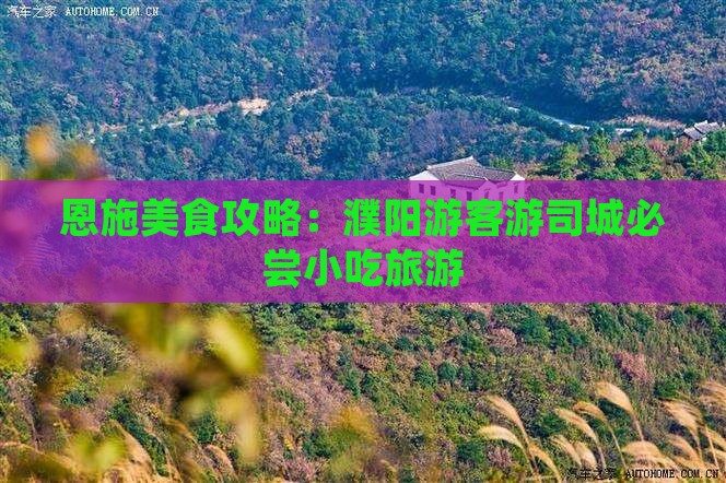 濮阳去恩施土司城旅游小吃