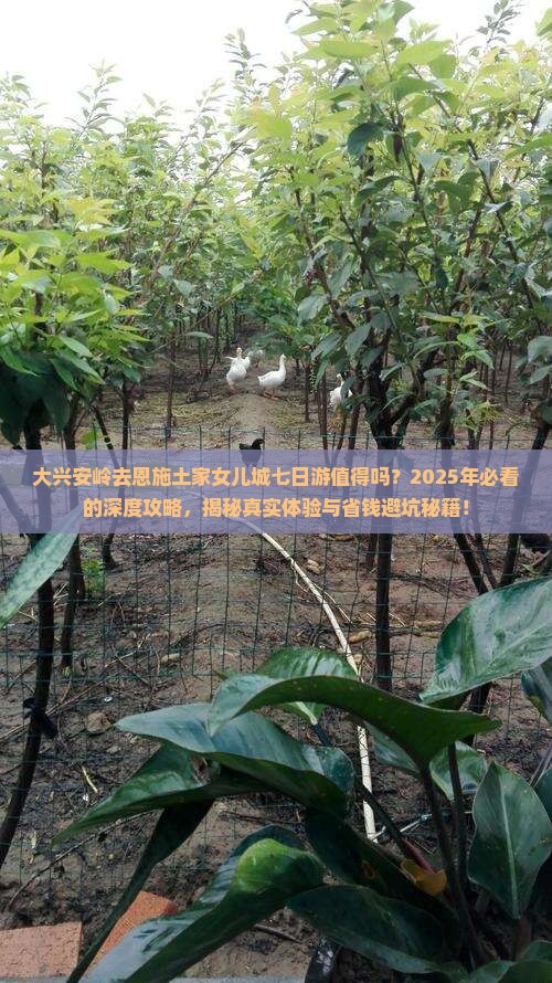 大兴安岭去恩施土家女儿城七日游