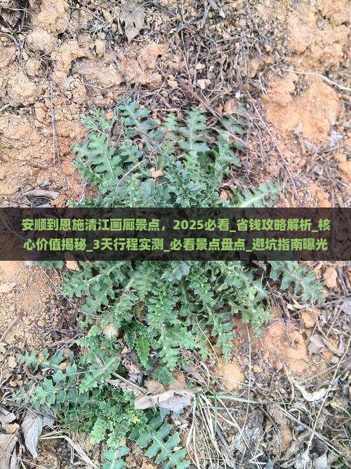 安顺到恩施清江画廊景点