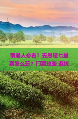 南通去恩施七星寨门票
