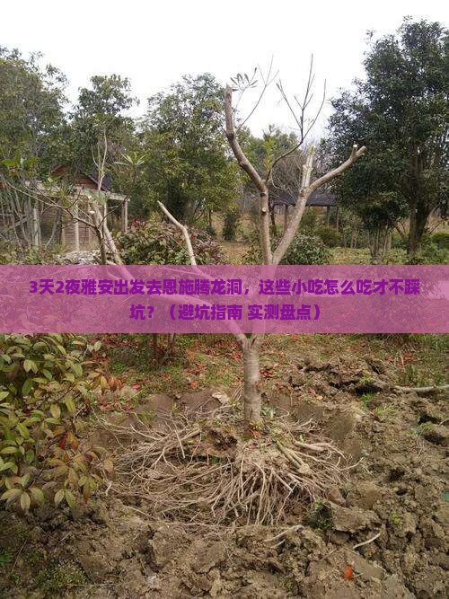 雅安去恩施腾龙洞旅游小吃