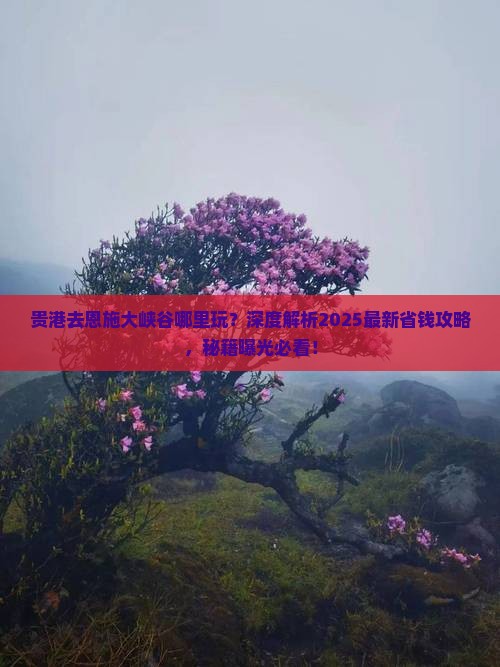 贵港去恩施大峡谷哪里玩