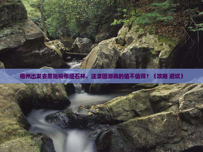 梧州到恩施梭布垭石林团体旅游