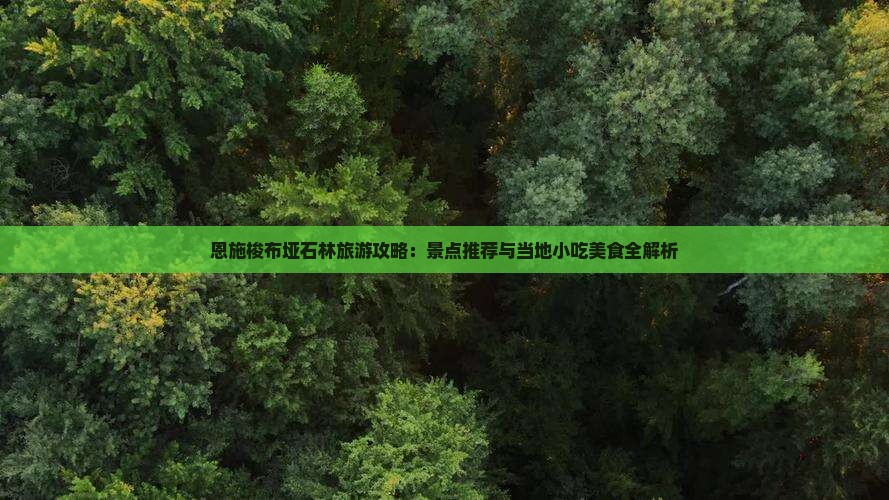 广元去恩施梭布垭石林旅游小吃