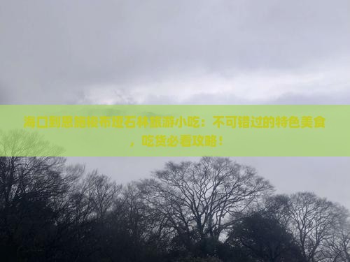 海口到恩施梭布垭石林旅游小吃