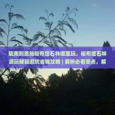 陇南到恩施梭布垭石林哪里玩