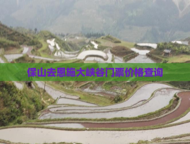 保山去恩施大峡谷门票