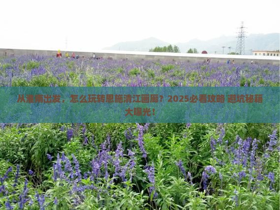 淮南去恩施清江画廊景点