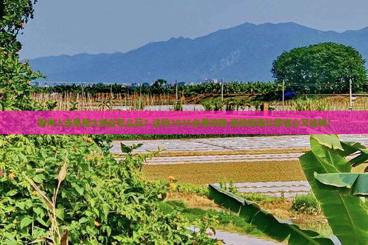 衢州去恩施大峡谷旅行社