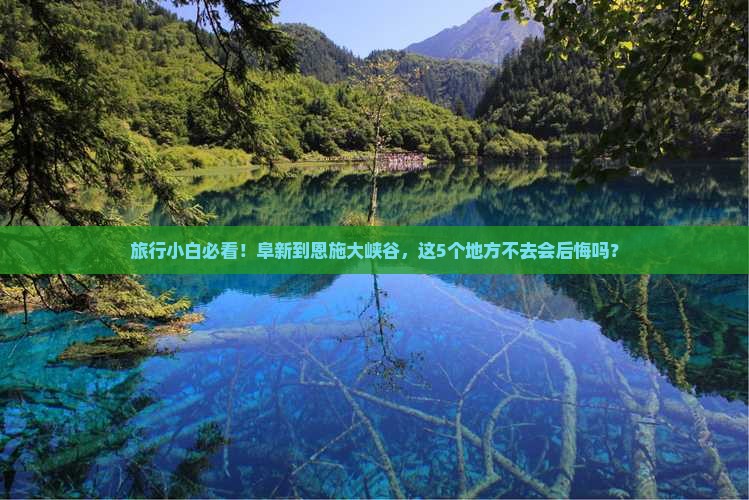 阜新到恩施大峡谷必去地