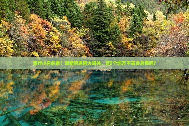 阜新到恩施大峡谷必去地