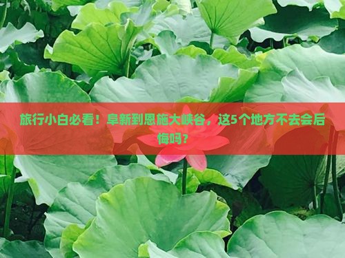 阜新到恩施大峡谷必去地