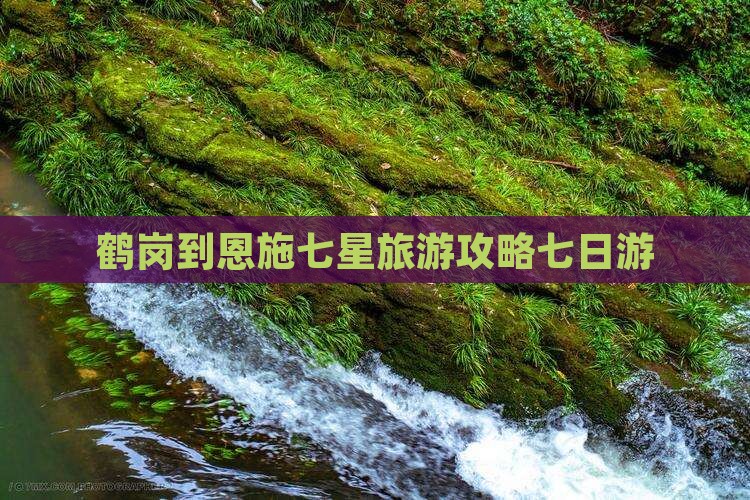 鹤岗去恩施七星寨七日游