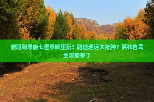 濮阳到恩施七星寨哪里玩
