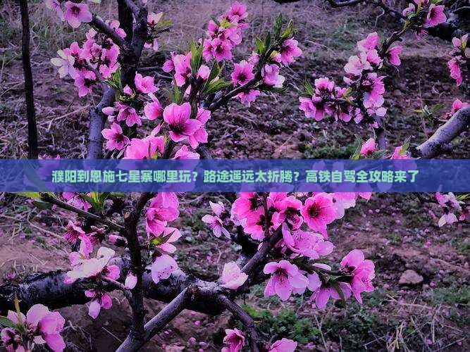 濮阳到恩施七星寨哪里玩