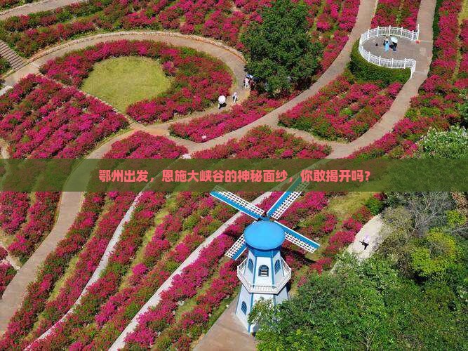 鄂州到恩施大峡谷团体旅游