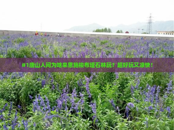 唐山去恩施梭布垭石林必去地