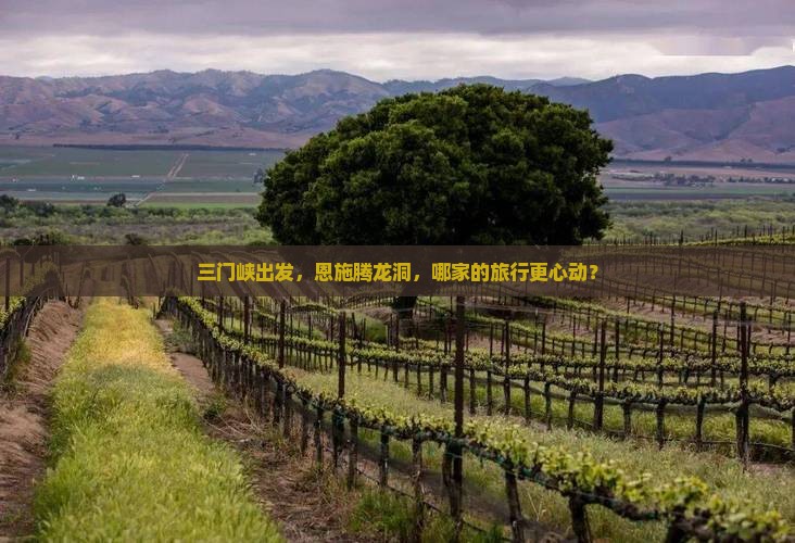 三门峡去恩施腾龙洞旅行社