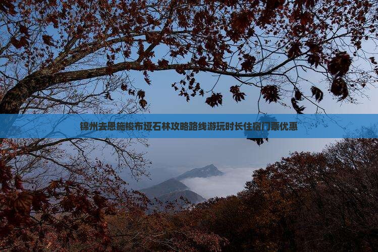 锦州去恩施梭布垭石林攻略